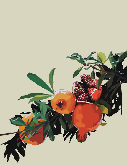 Pomegranate Branch
