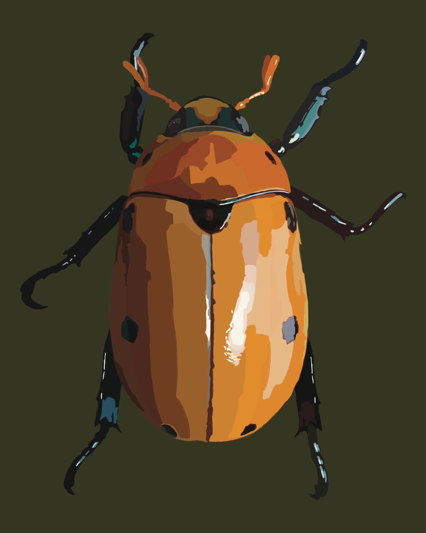 Grapevine Beetle