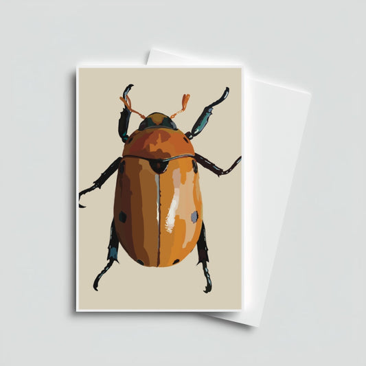 Grapevine Beetle