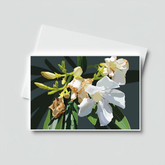 White Oleander 1