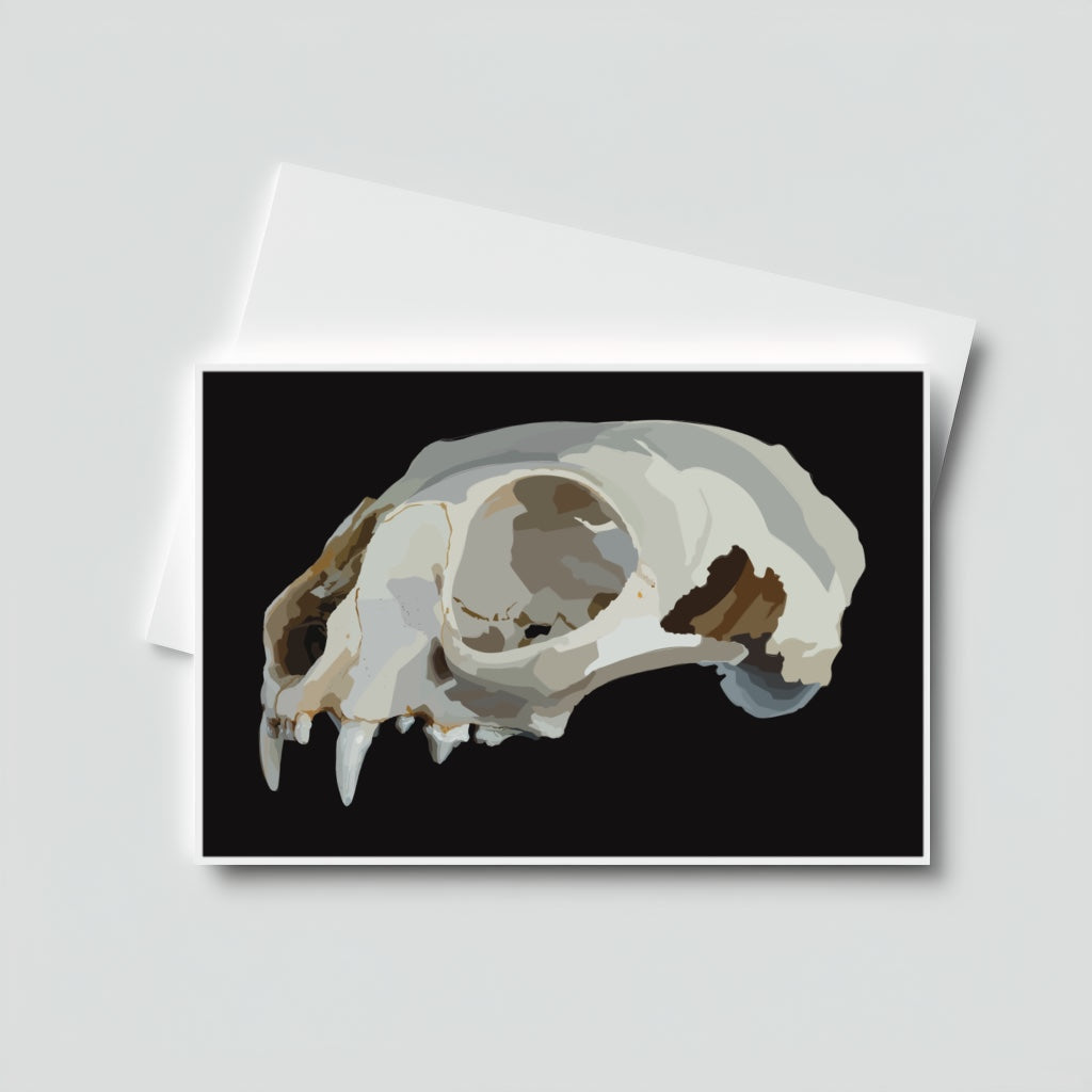 Cat Skull
