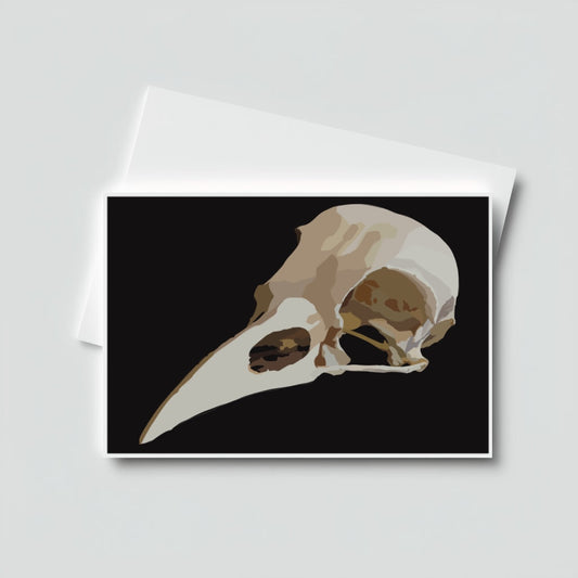 Bird Skull