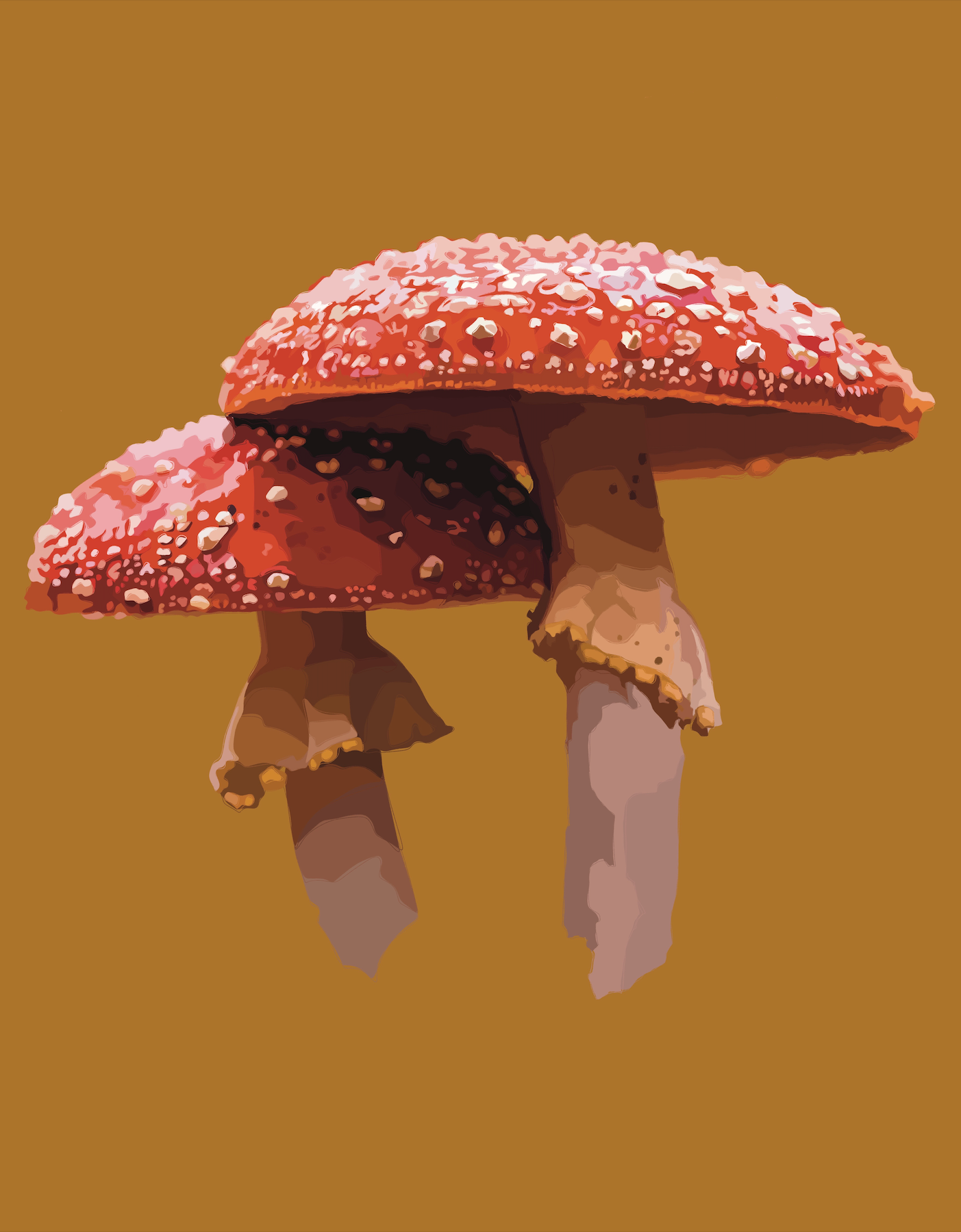 Fly Agaric