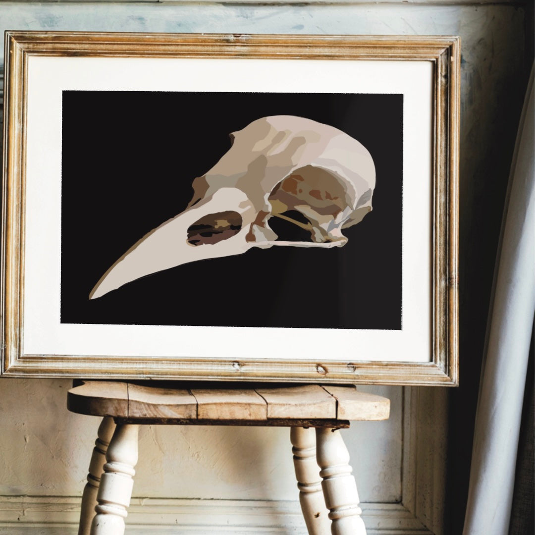 Bird Skull