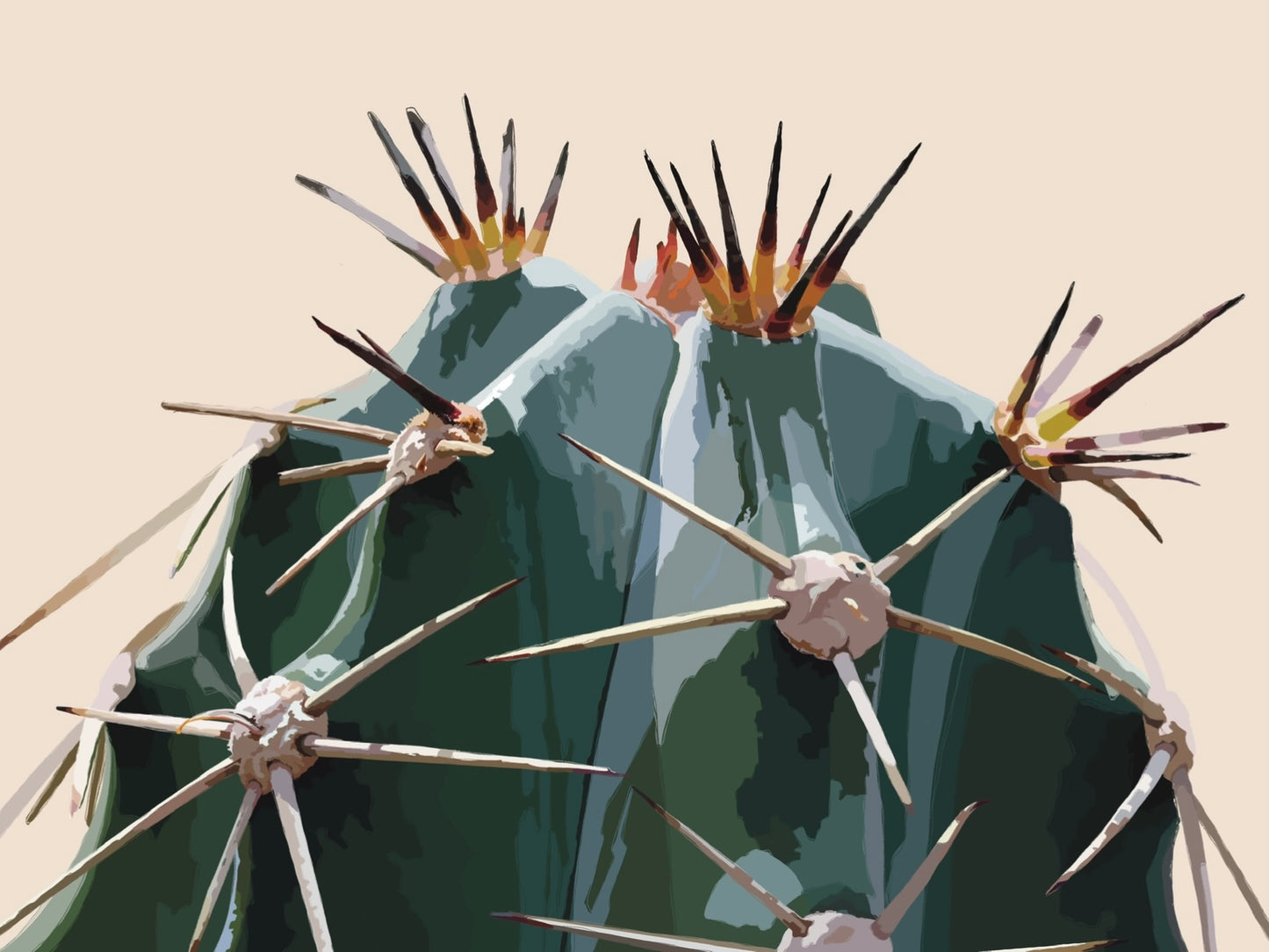 Barrel Cactus